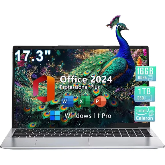 17.3" Business Laptop Computer Webcam Windows 11 Intel Quad-Core N100 Quad-Core Processor 16GB RAM 1TB SSD Backlit Keyboard Wi-Fi Fingerprint Type-C -Silver