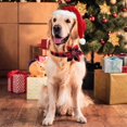 thumbnail image 5 of Collar navideño para perro ZHAOCHENG pajarita clásico a cuadros rojos, 5 of 5
