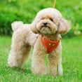 thumbnail image 2 of ORUYROP No Pull Dog Harness with Leash Pet Soft Vest Harness and Leash Set Dog Cat No Choke Escape Proof Harness Reflective Step in Harness for Small Medium Dogs Cats (Large, Orange), 2 of 6