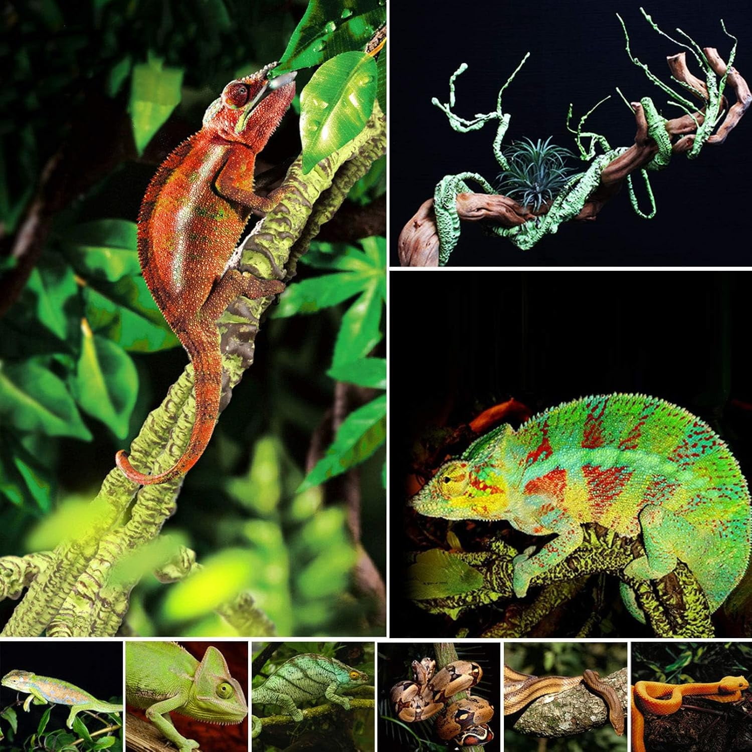 Reptile Vines Plants Flexible Bendable Jungle Climbing Vine Terrarium Plastic Plant Leaves Pet Tank Habitat Decor for Bearded Dragons Lizards Geckos Snakes Frogs and Reptiles