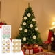 thumbnail image 1 of Adornos Navideños Colgantes de Bolas de Plástico con Polvo Pintado | Juego de Bolas de Plástico Multicolor | 29,5 X 19,3 X 9,9 Cm | 244 G, 1 of 7