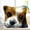 3156Dog, variant on Latch Hook Pillow Kits for Adults pillow,latch hook pillow kits,Fox And Wolf Embroidery Creative Craft Home Decor Ideal for Learning Pillow Making 43×43cm/17*17in