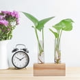 thumbnail image 1 of Home Glass Test Tube Flower Pot Hydroponic Plant Vase Terrarium Container Home Decor with Rack, 1 of 7