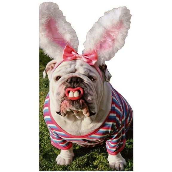 Avanti Press Bulldog With Bunny Teeth Little Big Funny Humorous Die Cut Dog Easter Card