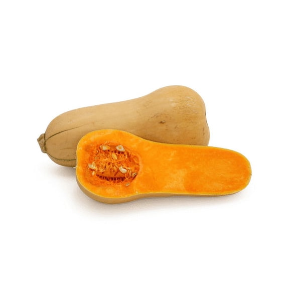 Squash Waltham Butternut Garden Heirloom Vegetable by Seed Kingdom Bulk 1,000 Seeds