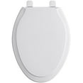thumbnail image 2 of Rutledge Quiet-Close Elongated Toilet - Finish: Biscuit, 2 of 6