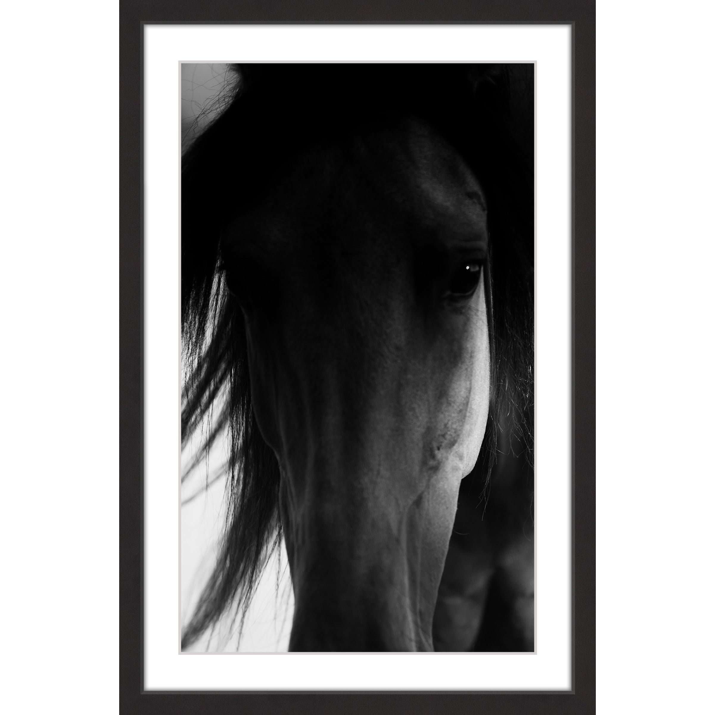 "Shadow Horse" Framed Painting Print