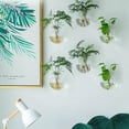 thumbnail image 5 of Wall Mounted Hanging Vase - Semi-Round Transparent Hydroponic Glass Planter for Home Decor, Space-Saving Wall Vase for Living Room Bedroom Bathroom, 5 of 9
