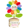thumbnail image 4 of Emotional Support Crochet Flower in Rainbow Colors with Encouragement Card – Handmade Plush Decoration Gift for Desk, Office, Home – Thoughtful Gift for Women, Friends, Coworkers, 4 of 4
