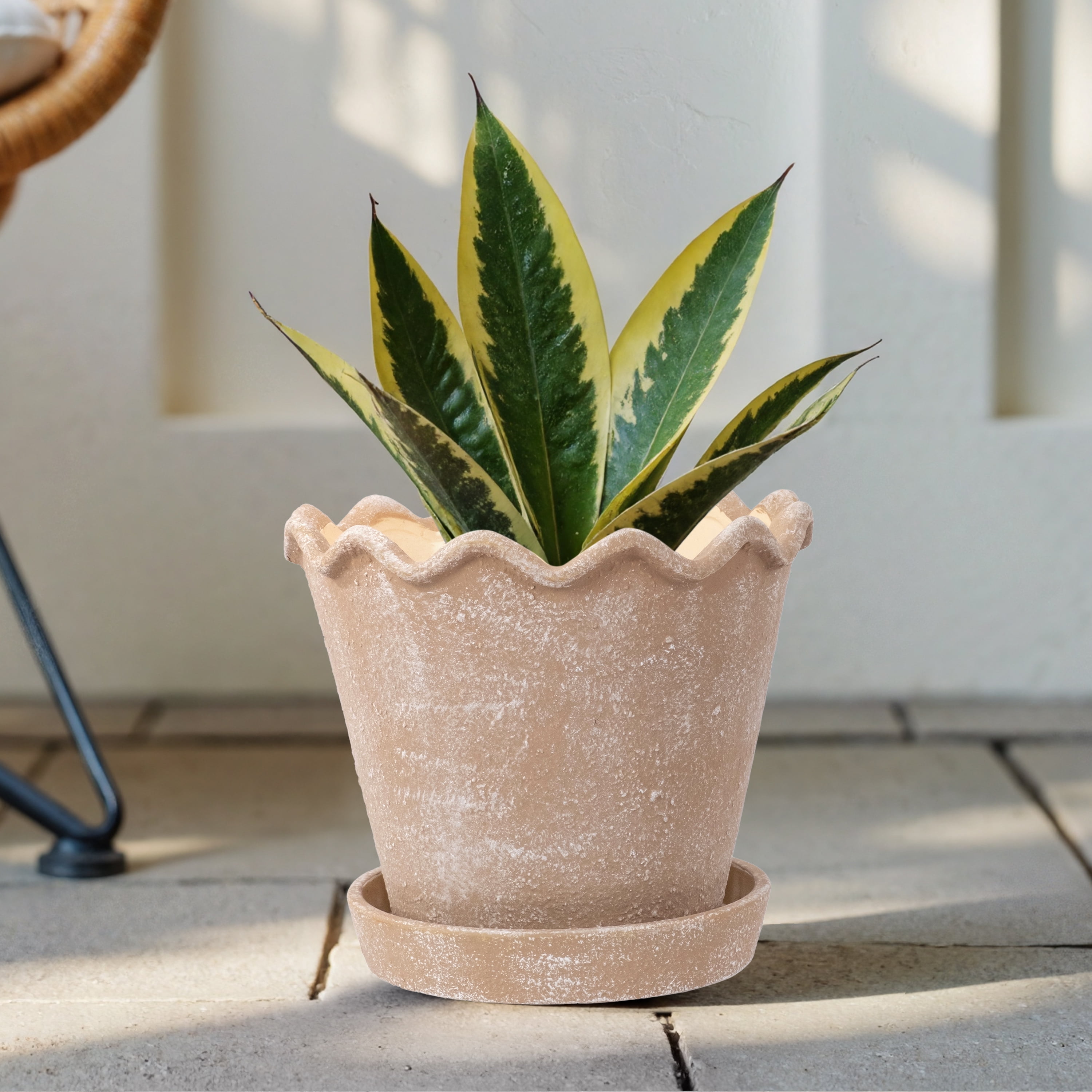 My Texas House 8 inch Ceramic Wave Planter, Brown