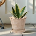 thumbnail image 2 of My Texas House 8 inch Ceramic Wave Planter, Brown, 2 of 8