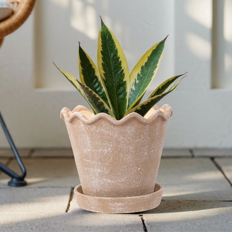 My Texas House 8 inch Ceramic Wave Planter, Brown - Walmart.com