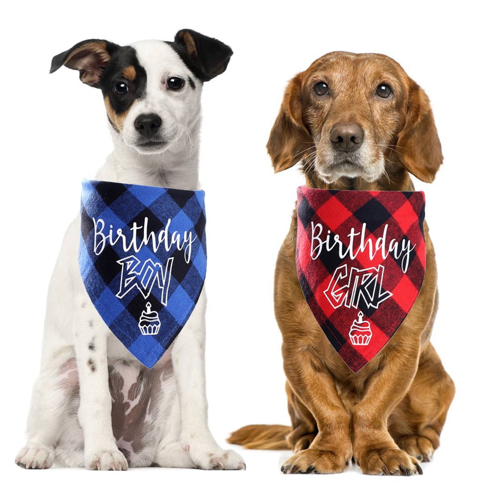 DOG CAT BANDANA Happy Birthday Blue Personalized Name Bday Sz XS-L Over Collar