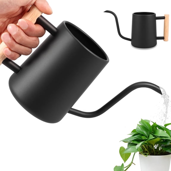 Wuxiuli Stainless Steel Long Spout Black Small Watering Can for Indoor Plants 1pack 35oz