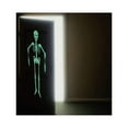 thumbnail image 4 of Halloween Skull Frame Decoration Luminous Skeleton Frame Bar KTV Horror Scene Decoration, 4 of 6