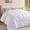 White, variant on Aquzin Comforter Queen Size, All Season Quilted Down Alternative Duvet Insert with Corner Tabs, Machine Washable Microfiber Bedding, Gray