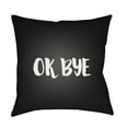 thumbnail image 1 of Surya Ok Bye Outdoor Pillow, 1 of 2