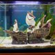 thumbnail image 4 of Decoración de naufragio para acuario, adorno para pecera, juego de descanso, resina, barco hundido para Estilo B, 4 of 8
