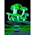 thumbnail image 2 of Orozco, Danner 15x18 White Modern Wood Framed Museum Art Print Titled - Trippyland, 2 of 4