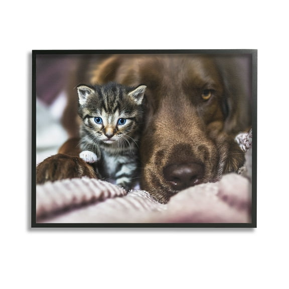 Stupell Industries Kitten & Dog Snuggling Animals & Insects Painting Black Framed Art Print Wall Art, 14 x 11