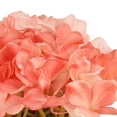 thumbnail image 2 of 10 in. Coral Hydrangea Bouquet in White Basket, 2 of 3