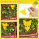 thumbnail image 2 of Paquete de 15 trampas para moscas de la fruta, mata mosquitos pegajoso de doble cara, atrapa insectos amarillo, mata insectos pegajoso para plantas de interior, 2 of 5