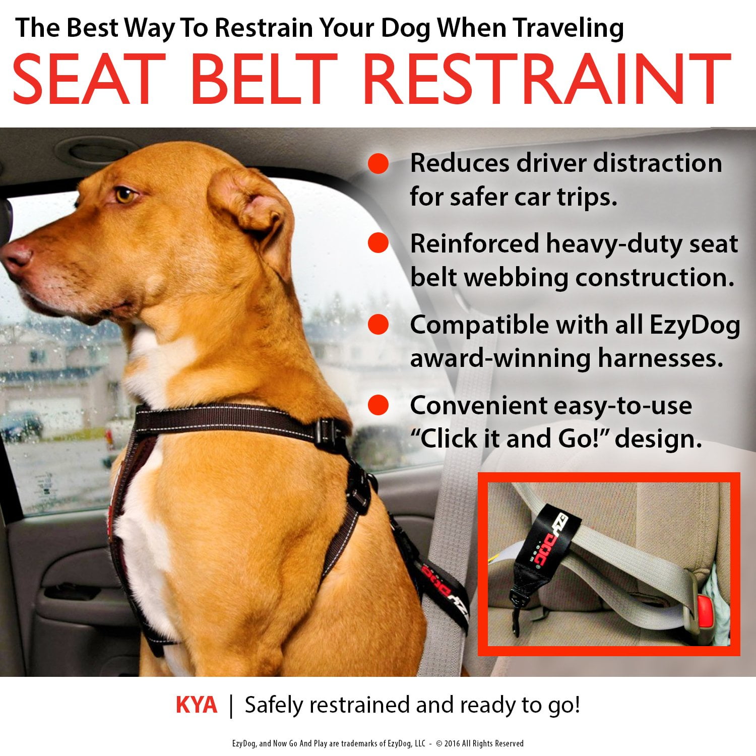 ezydog adjustable car restraint