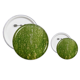 thumbnail image 1 of Green pumpkin Peel macro Foto modelos Insignia insignia botón diseño conjunto, 1 of 3