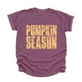 thumbnail image 3 of Pumpkin Season Block Distressed - Women's Garment Dyed Graphic T-Shirt, 3 of 11