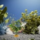 thumbnail image 4 of Terrario, plantas artificiales, pecera, plantas realistas, pecera para reptiles, plantas falsas, hábitat para pecera, plantas bonsái, dragón barbudo, accesorios para pecera, 4 of 7
