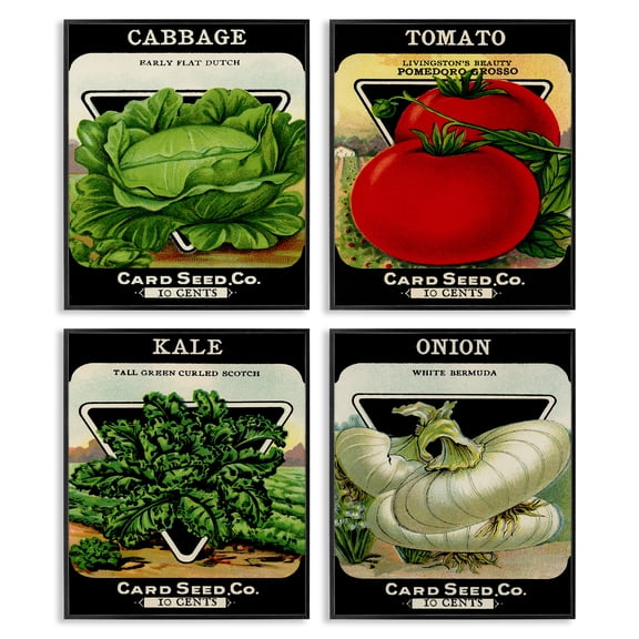 Stupell Industries Vintage Garden Cabbage Food & Beverage Painting Black Framed Art Print Wall Art, 11 x 14, Set of 4