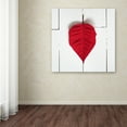 thumbnail image 3 of Trademark Fine Art 'Leave Me All Your Love' Canvas Art by Philippe Sainte-Laudy, 3 of 3