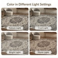 thumbnail image 7 of ODIKA 8'x10' Washable Area Rug Non-Shedding, Easy Care, Cream Boho Deep Tones Base Symmetrical Layout Academia Farmhouse for King Size Bedroom Under Bed, Master Suite, 7 of 7