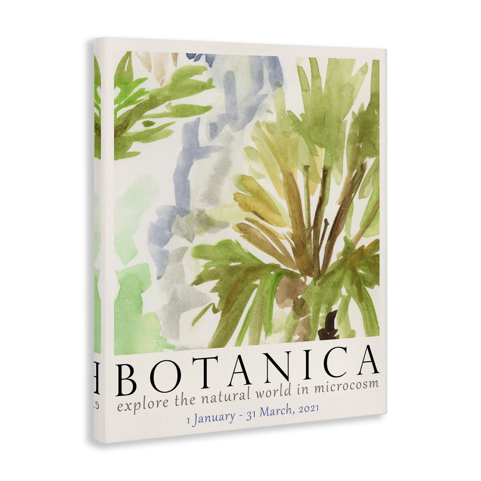 Stupell Industries Botanica Museum Poster Plants & Flowers Painting Wrapped Canvas Art Print Wall Art, 16 x 20