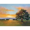 thumbnail image 2 of McMurry, Vicki 24x19 White Modern Wood Framed Museum Art Print Titled - A Sunset Salute, 2 of 4