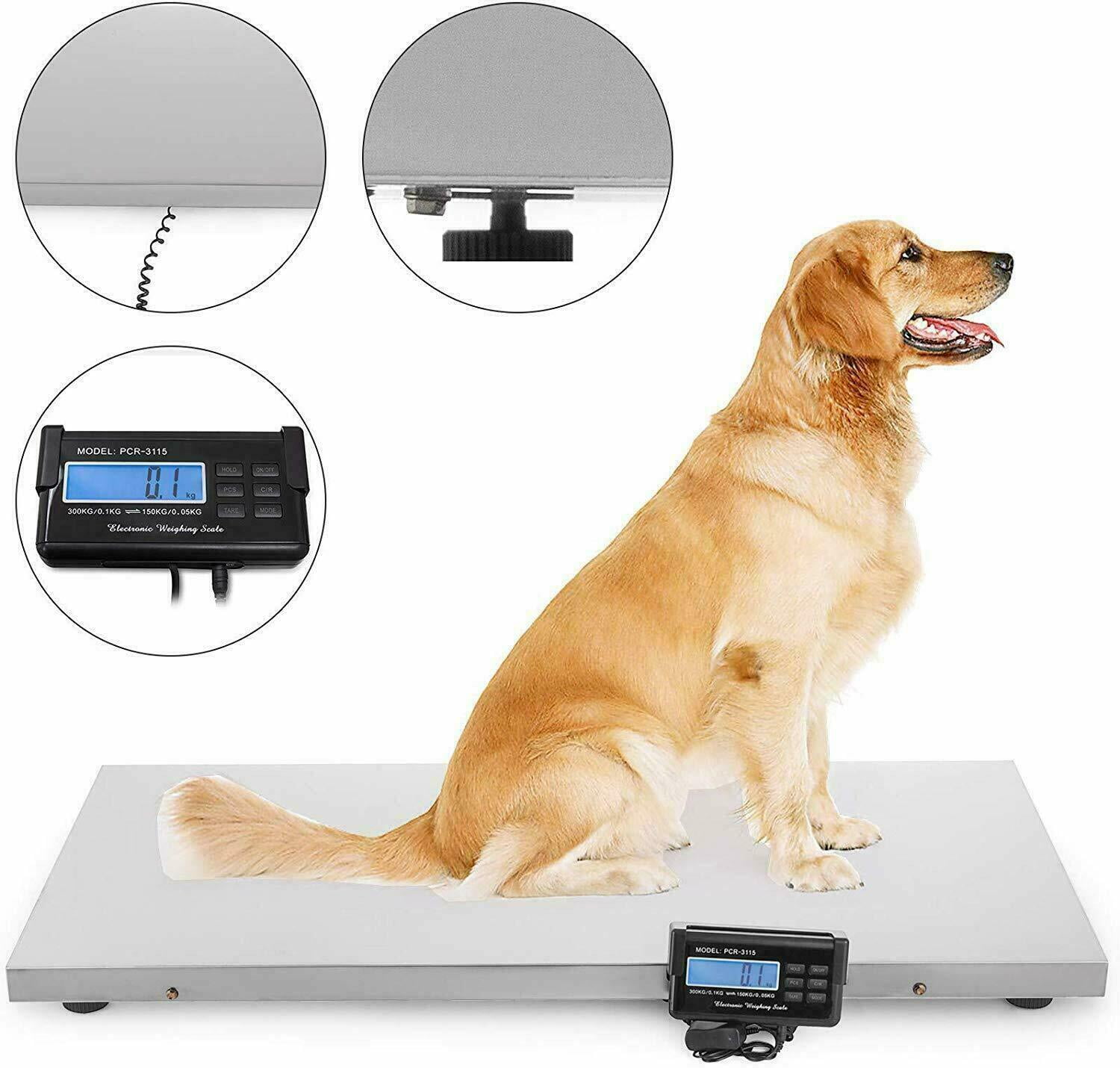 Scales for Weighing Dogs