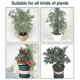 thumbnail image 4 of 5 Packs Of Garden Plant Protection Nets with Rope, Tomato Protective Cover Garden Plant Isolation Ba, 4 of 5