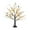 Gold, variant on LED Lighted Tree with Red Cardinal Birds Golden Fruit Branches 18-Inch Decorative Tabletop Lamp Battery Operated Warm White Lights for Home Living Room Bedroom Holiday Fall Winter Decor