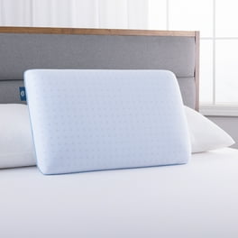 Pillow foam walmart 2025