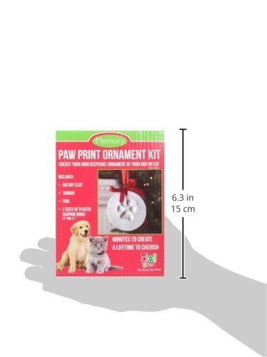 pet print ornament kit