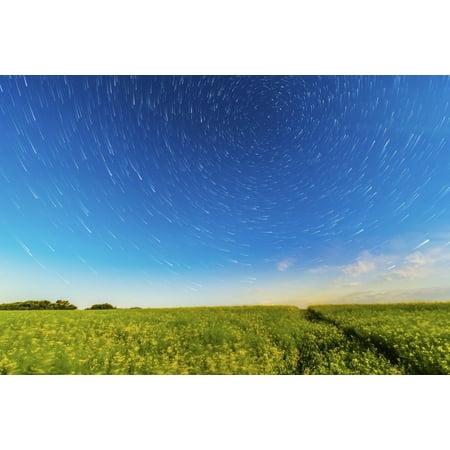 July 26 2013 - Circumpolar star trails turning over a canola field in southern Alberta Canada Light is from the waning moon off camera to the right Poster