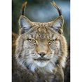 thumbnail image 1 of Diamond Painting 1 (DE4502) Punto de cruz Imagen completa Bordado Mosaico (WB017 Gato) 50x70cm FLhrweasw Nuevo, 1 of 1