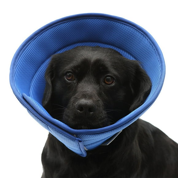 Cono protector ajustable para perros Colco recuperación de mascotas Pequeño 23-27cm