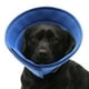 thumbnail image 1 of Cono protector ajustable para perros Colco recuperación de mascotas Pequeño 23-27cm, 1 of 8