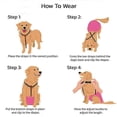 thumbnail image 4 of Pet Nappy AntiSlip Suspenders Adjustable Elastic Diaper Belly Band Dog Supplies [jkw], 4 of 5