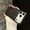 Black, variant on For iPhone Air Phone Case,Compatible with Mag-Safe,Glossy Ultra Slim Shockproof Anti-Scratch Drop Proof Protection Skin Feel Anti-fingerprint Thin Fit Phone Case Cover,Desertgold