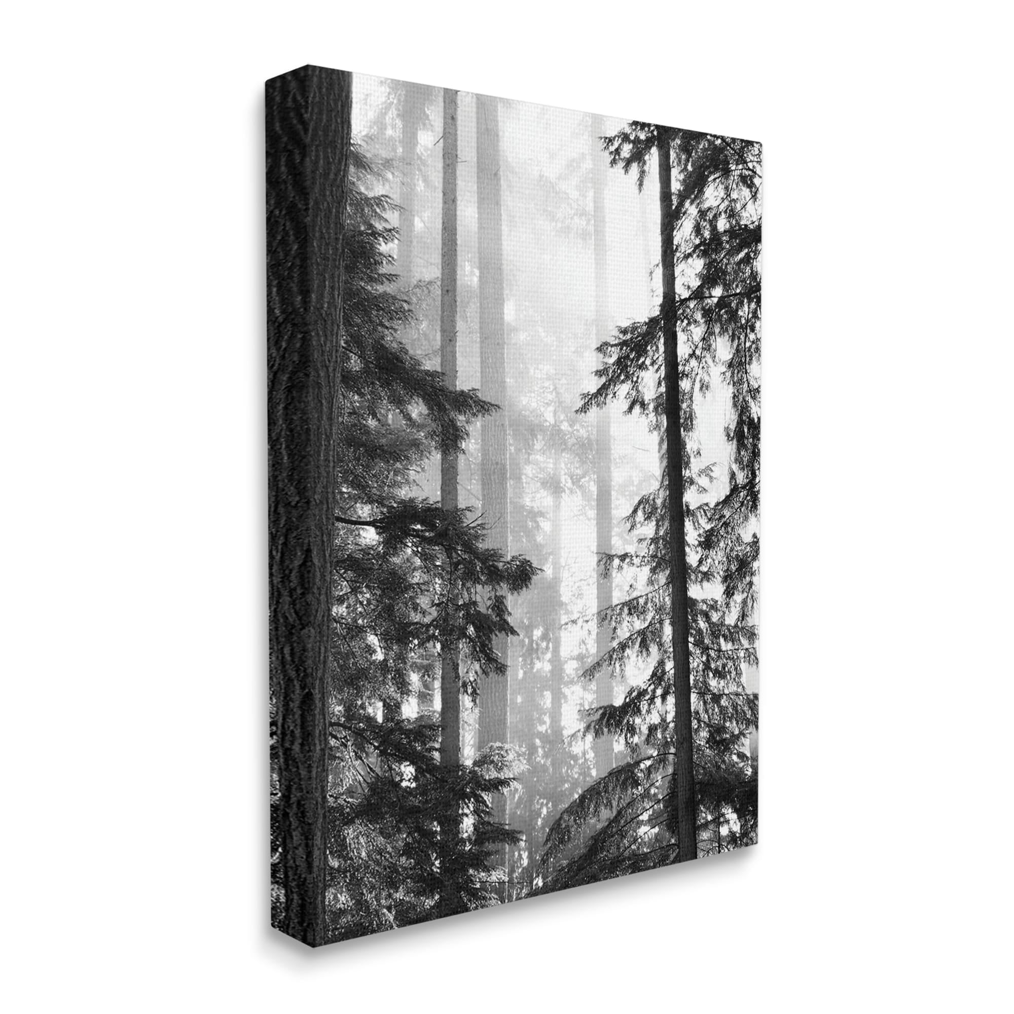 Forest Light Shining Through Tall Trees Landscape Photography Canvas Art, 30 x 40