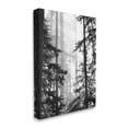 thumbnail image 3 of Forest Light Shining Through Tall Trees Landscape Photography Canvas Art, 16 x 20, 3 of 5