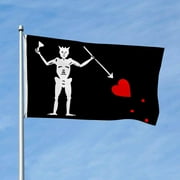 Aihccy Pirate of Blackbeard (Edward Teach) Flag with Brass Grommets Size - 3x5Ft