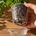 thumbnail image 5 of 4 Inch Clear Nursery Pots for Plants with Sacuers, Plastic Flower Pots with Drainage Holes, Variety Pack Seedlings Garden Pot for Indoor Outdoor, 5 of 7